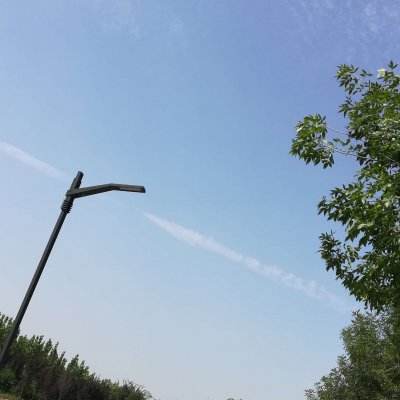 玄真道手游下载